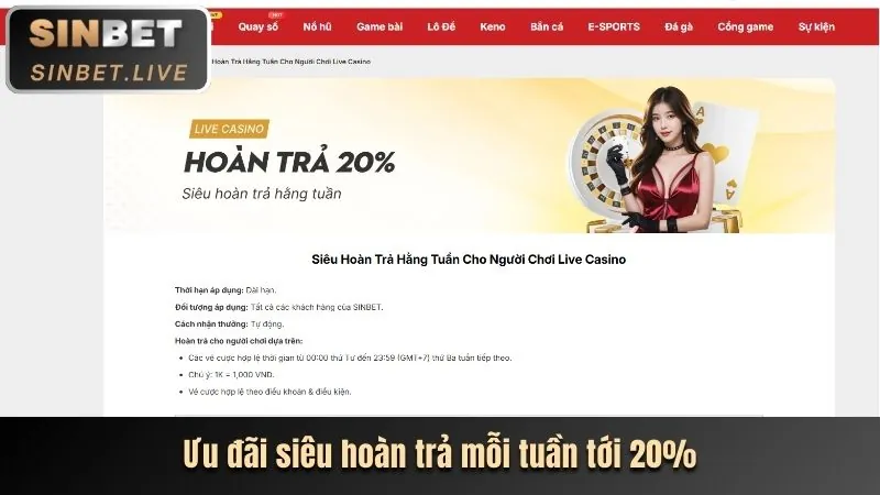 Biểu đồ hiển thị các loại kèo cược khác nhau tại nex88 code